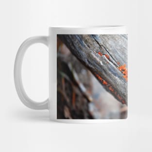 between the cracks Mug